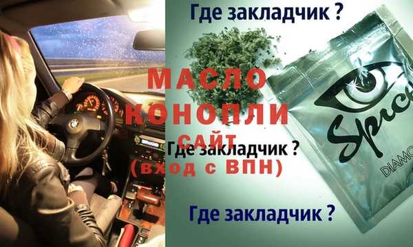 дживик Пересвет