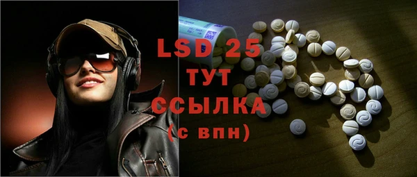 дживик Пересвет