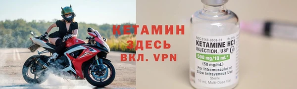дживик Пересвет