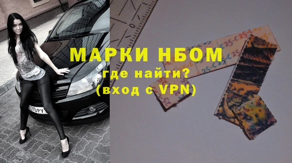 PSILOCYBIN Переславль-Залесский
