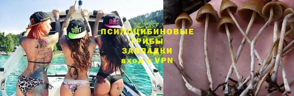 альфа пвп Дубовка
