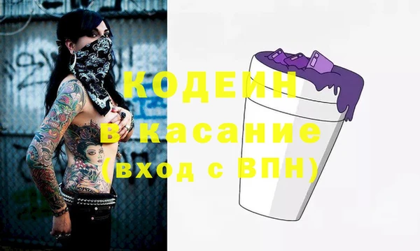 дживик Пересвет
