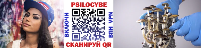 Галлюциногенные грибы Cubensis  omg tor  Поронайск 
